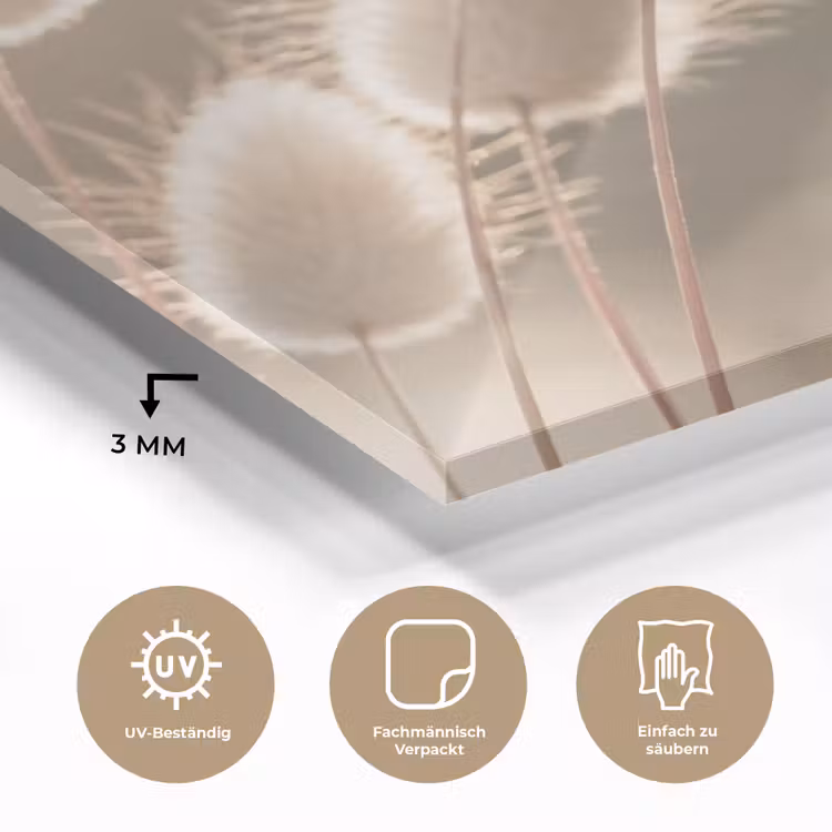 Hazestaartgras - Wit - Zonlicht plexiglas 5mm klein -wsfeer2_DE