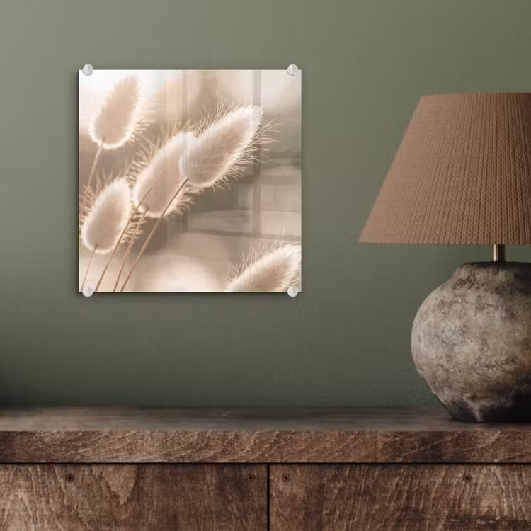 Hazestaartgras - Wit - Zonlicht plexiglas 5mm klein -sfeer3