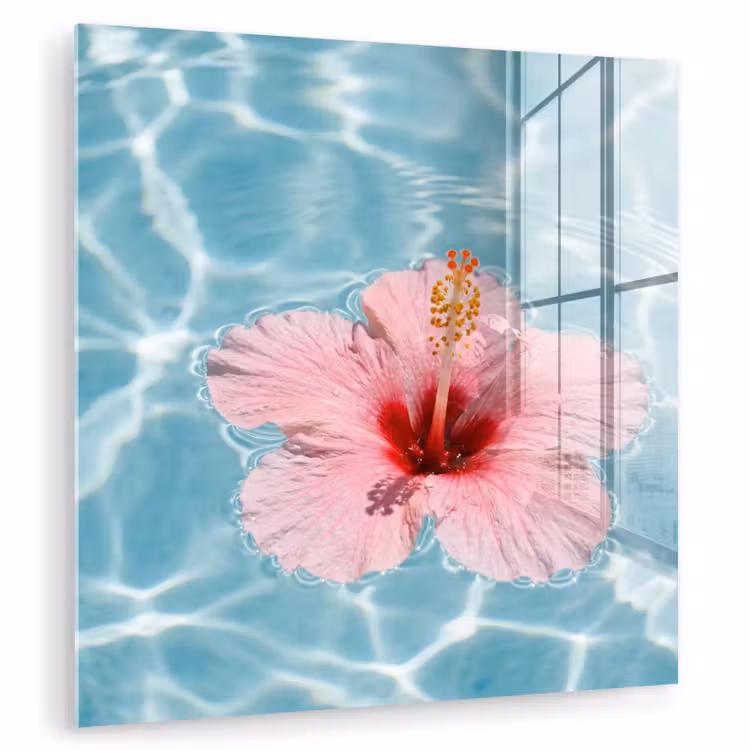 Hibiscus - Water - Roze plexiglas 5mm klein -zzzproduct_nieuw