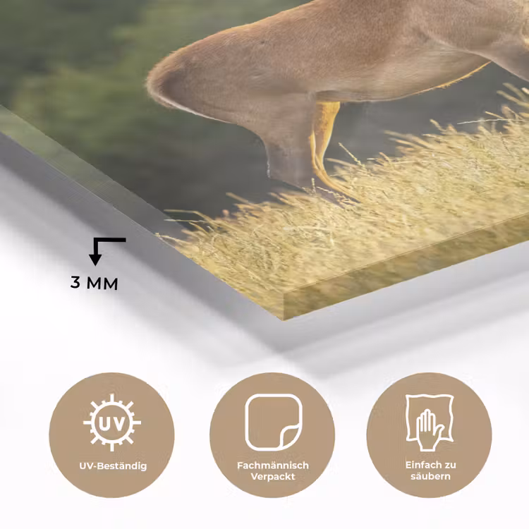 Hert - Gewei - Gras - Natuur - Dieren - Groen plexiglas 5mm klein -wsfeer2_DE