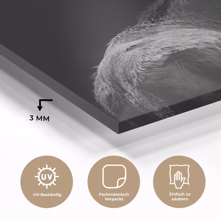Hert - Zwart - Portret - Gewei - Dieren plexiglas 5mm klein -wsfeer2_DE