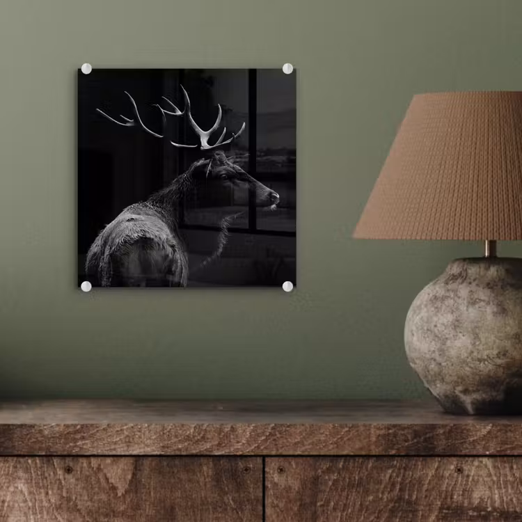 Hert - Zwart - Portret - Gewei - Dieren plexiglas 5mm klein -sfeer3