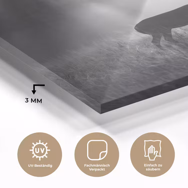 Hert - Bos - Zonnestralen - Zwart-wit - Natuur plexiglas 5mm klein -wsfeer2_DE