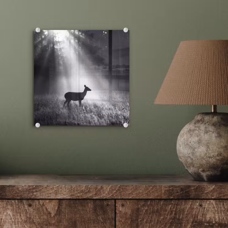 Hert - Bos - Zonnestralen - Zwart-wit - Natuur plexiglas 5mm klein -sfeer3