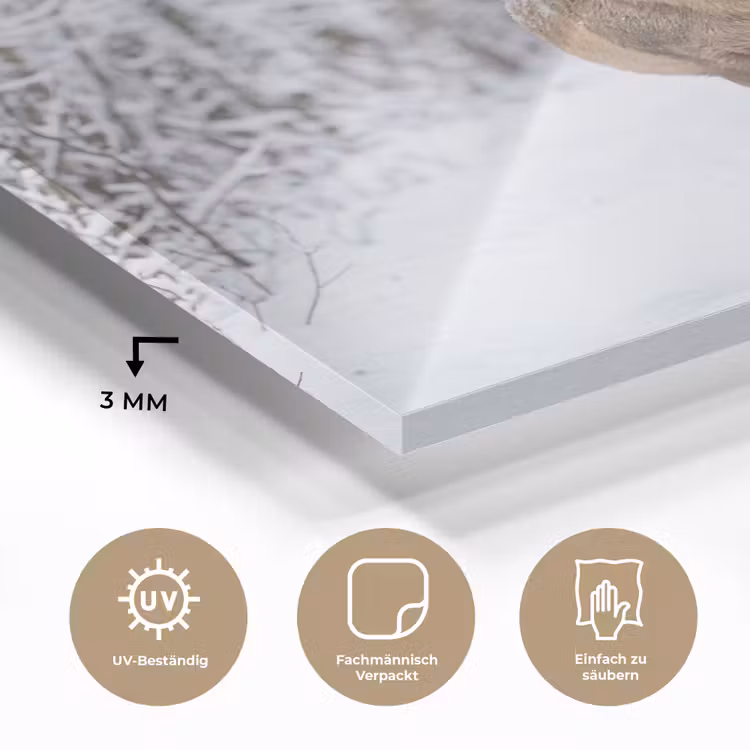 Hert - Winter - Bos - Natuur - Wit plexiglas 5mm klein -wsfeer2_DE