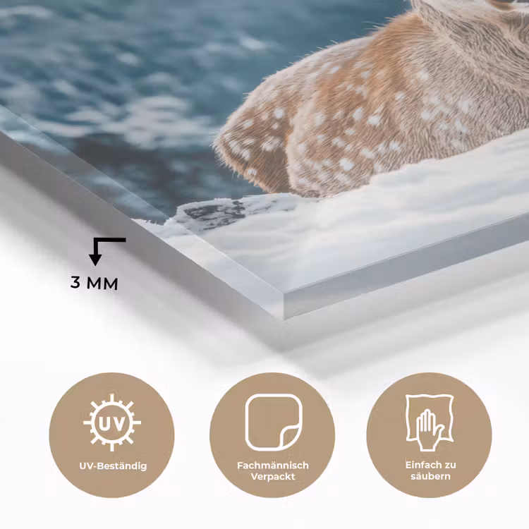 Hert - Landschap - Winter - Natuur - Dieren - Bergen plexiglas 5mm klein -wsfeer2_DE