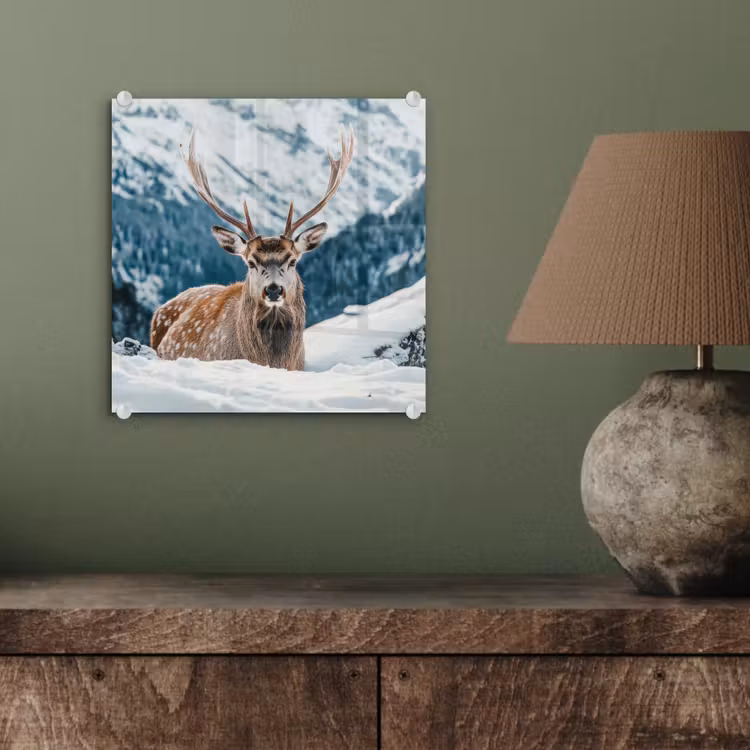 Hert - Landschap - Winter - Natuur - Dieren - Bergen plexiglas 5mm klein -sfeer3