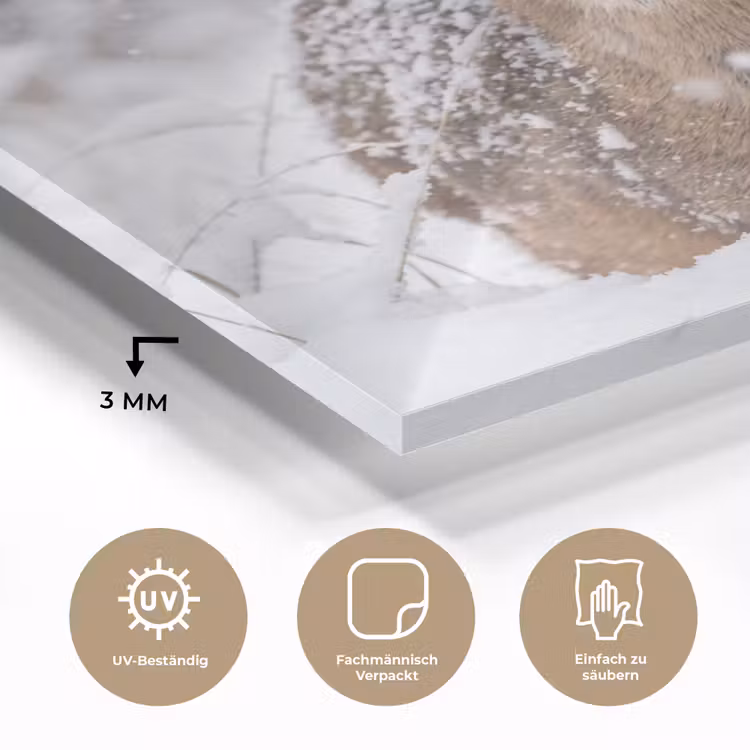 Hert - Sneeuw - Bos - Dieren - Vertederend plexiglas 5mm klein -wsfeer2_DE