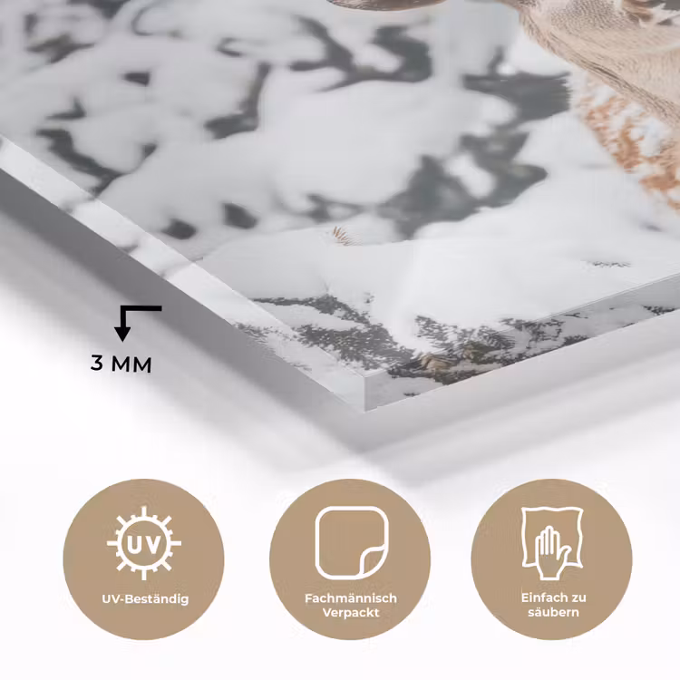 Hert - Sneeuw - Winter - Bos - Dieren plexiglas 5mm klein -wsfeer2_DE