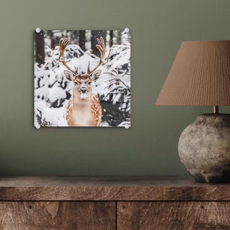 Hert - Sneeuw - Winter - Bos - Dieren plexiglas 5mm klein -sfeer3