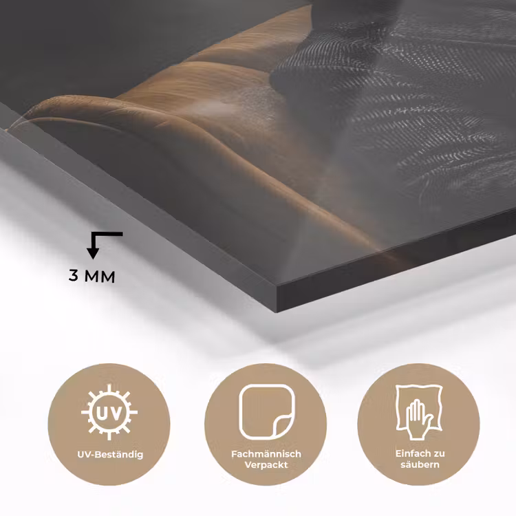 Hert - Zonnebril - Zwart - Pak plexiglas 5mm klein -wsfeer2_DE