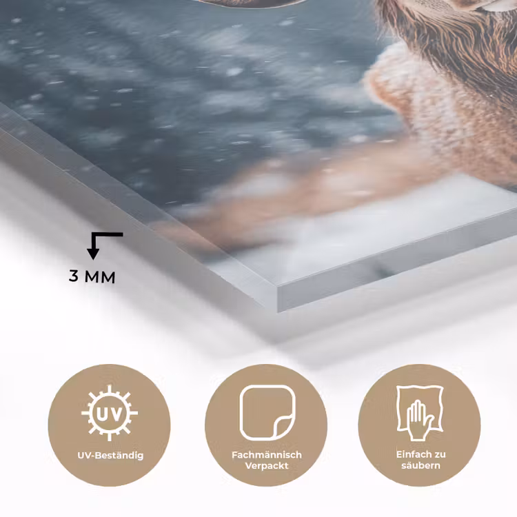 Hert - Dieren - Landschap - Winter - Sneeuw plexiglas 5mm klein -wsfeer2_DE