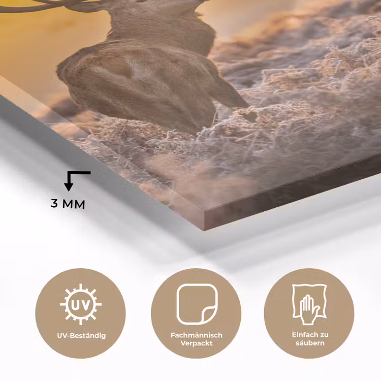 Hert - Dieren - Zonsondergang - Winter - Heide - Natuur plexiglas 5mm klein -wsfeer2_DE