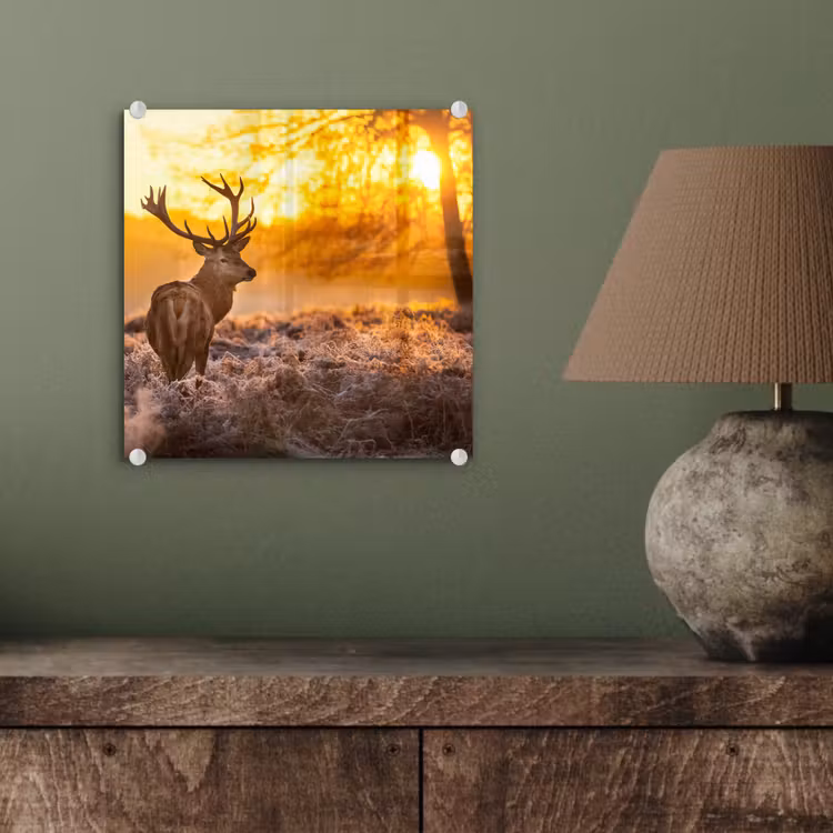 Hert - Dieren - Zonsondergang - Winter - Heide - Natuur plexiglas 5mm klein -sfeer3