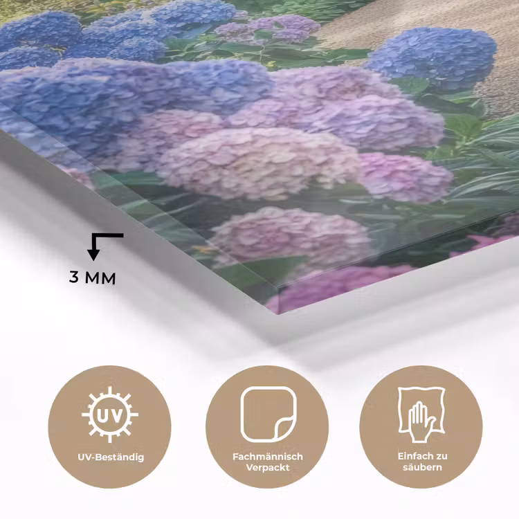 Hortensia- Park - Pad plexiglas 5mm klein -wsfeer2_DE