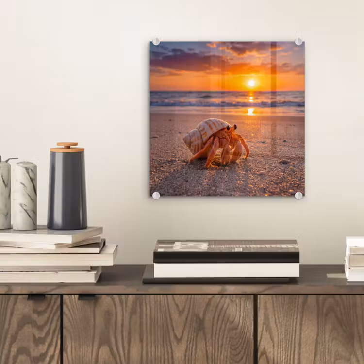 Kreeft - Strand - Natuur - Zonsondergang - Oranje plexiglas 5mm klein -sfeer1