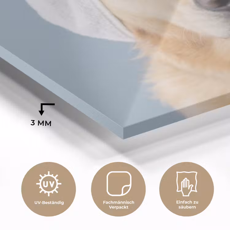 Hond - Badeend - Geel plexiglas 5mm klein -wsfeer2_DE