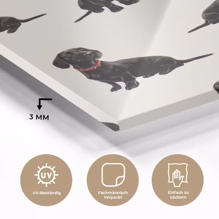 Hond - Patroon - Zwart plexiglas 5mm klein 11 -wsfeer2_DE