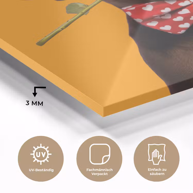 Hond - Oranje - Roos - Valentijn plexiglas 5mm klein -wsfeer2_DE