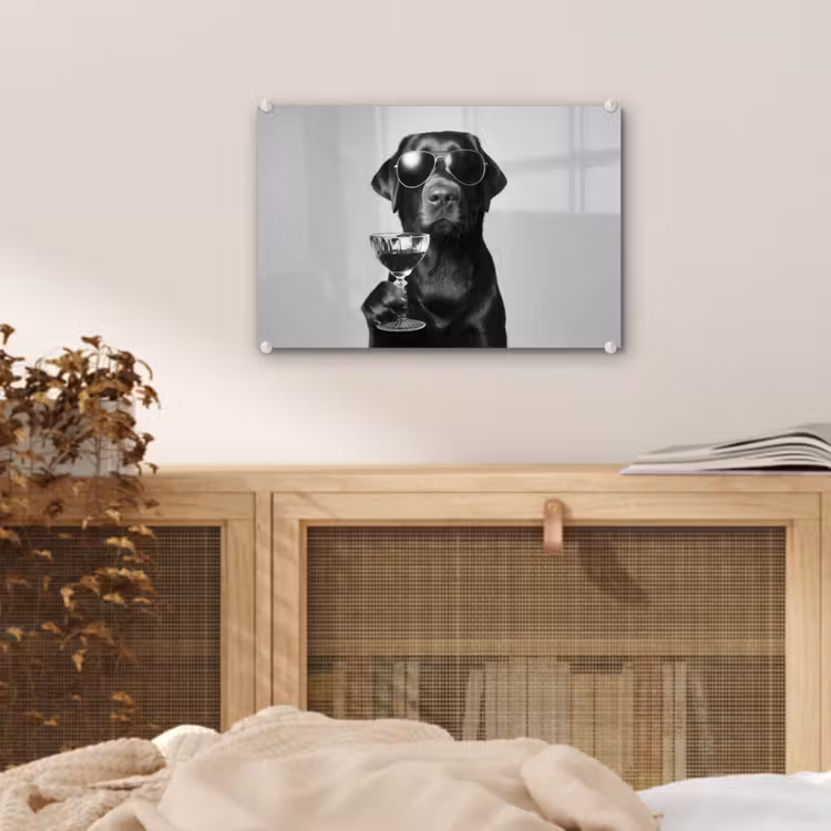 Hond - Zwart - Wijnglas - Zonnebril plexiglas 5mm klein -sfeer3