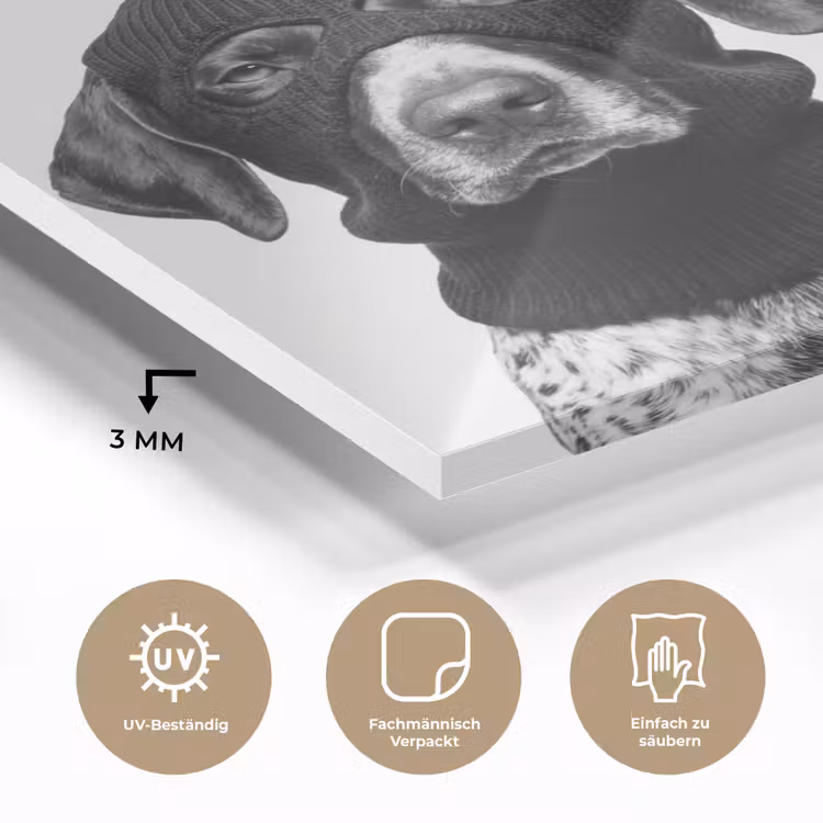 Honden - Bivakmuts - Zwart - wit plexiglas 5mm klein -wsfeer2_DE