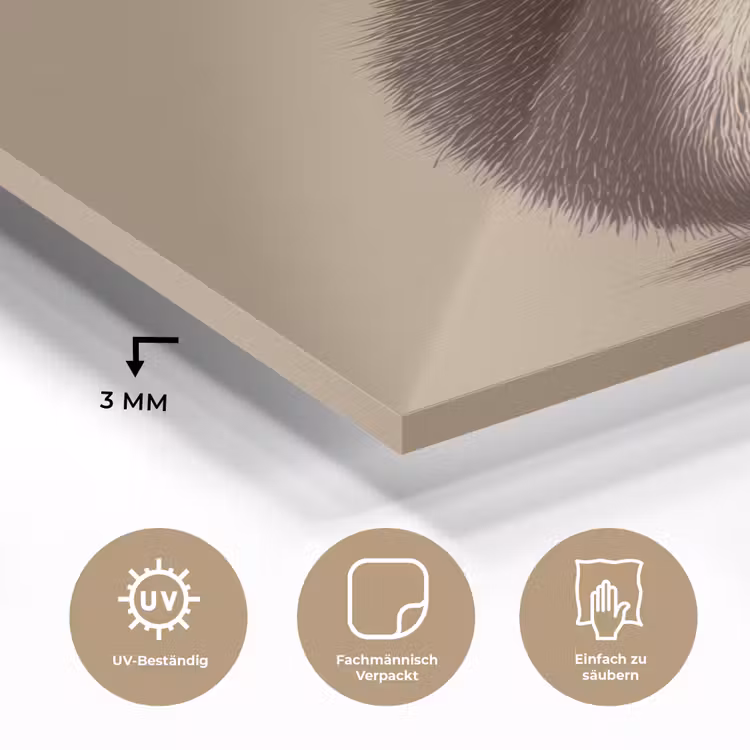 Egel - Snuitje - Bruin - Stekels plexiglas 5mm klein -wsfeer2_DE