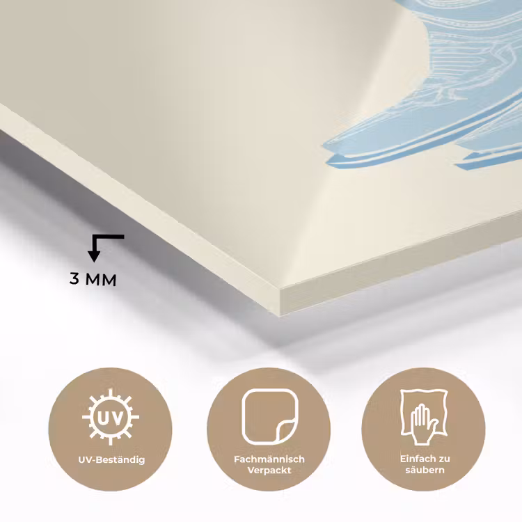 Illustratie - Cowboylaarzen - Patroon plexiglas 5mm klein -wsfeer2_DE
