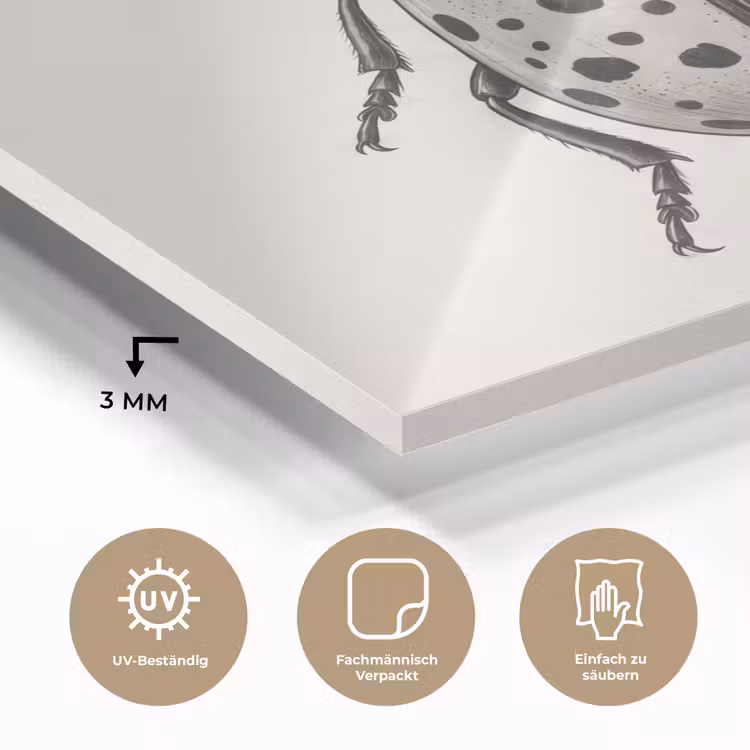 Kever - Insect - Vintage plexiglas 5mm klein -wsfeer2_DE