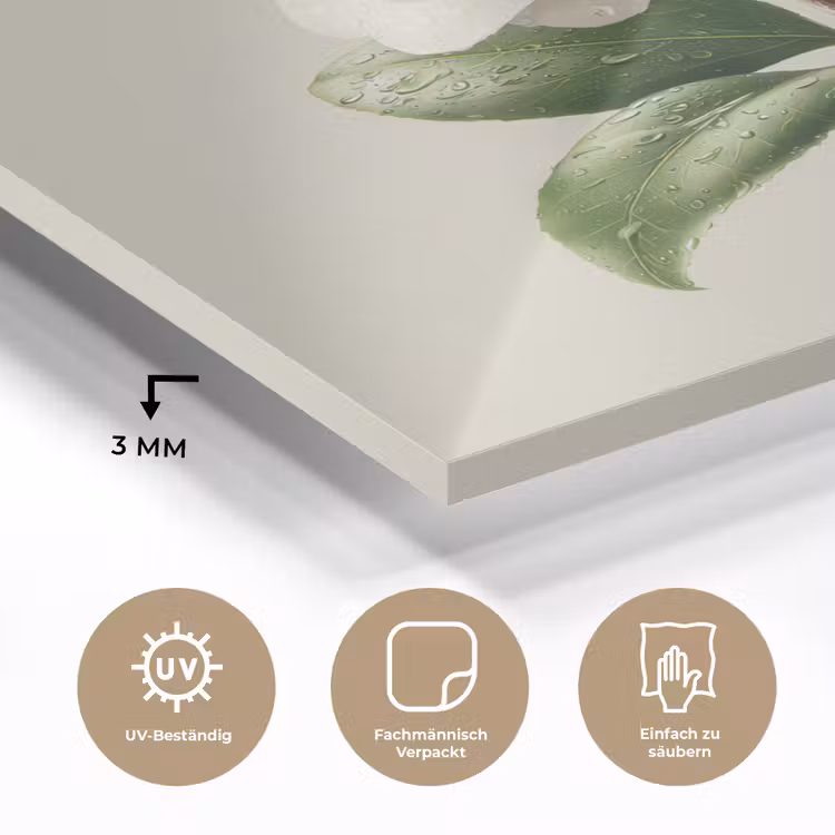 Cameliabloem - Wit - Groen plexiglas 5mm klein -wsfeer2_DE