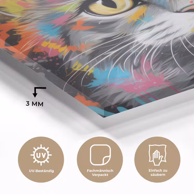 Kat - Graffiti - Dieren - Kleuren - Grijs plexiglas 5mm klein -wsfeer2_DE