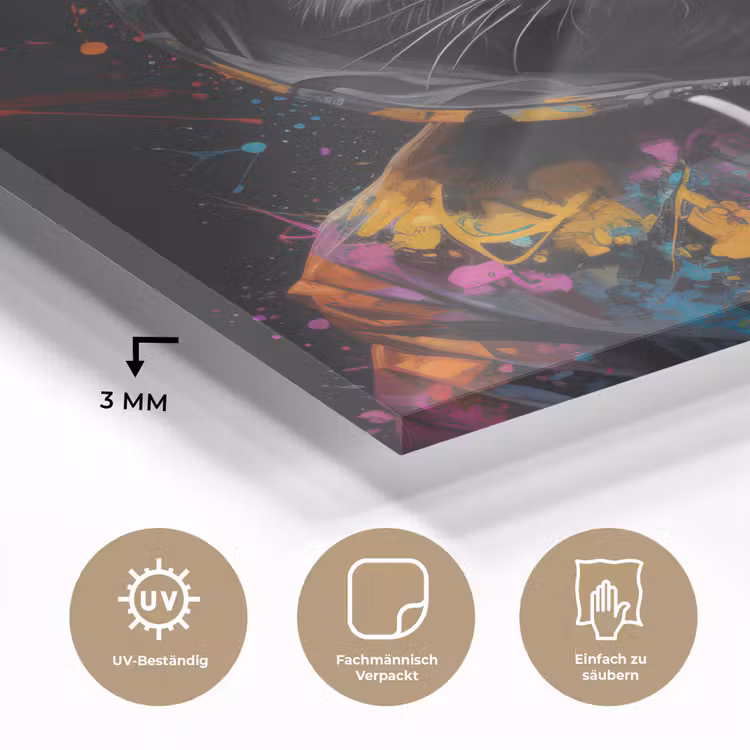 Kat - Jas - Graffiti - Bril - Zwart plexiglas 5mm klein -wsfeer2_DE