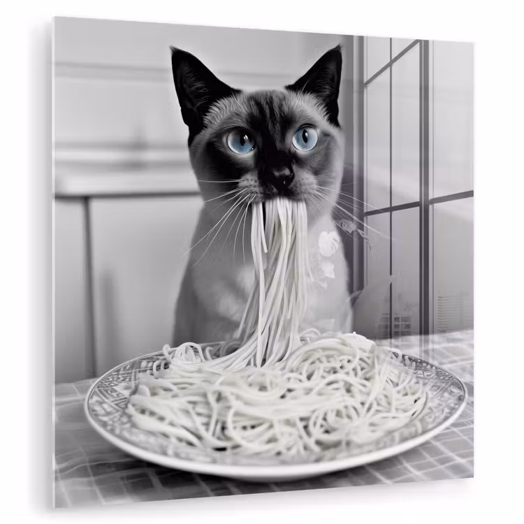 Kat - Siamees - Zwart Wit - Schattig - Dieren plexiglas 5mm klein -zzzproduct_nieuw