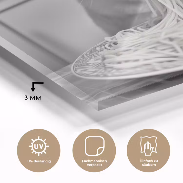 Kat - Siamees - Zwart Wit - Schattig - Dieren plexiglas 5mm klein -wsfeer2_DE