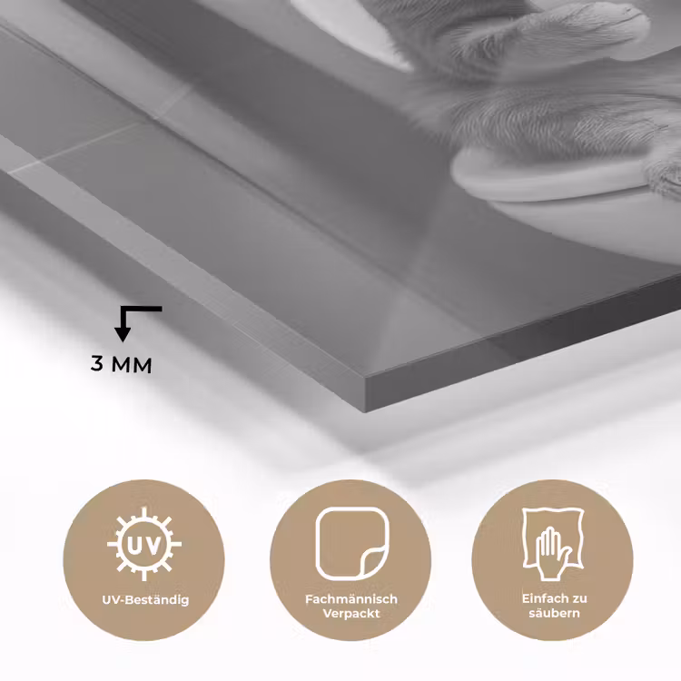 Kat - Telefoon - Toilet - Zwart - Wit plexiglas 5mm klein -wsfeer2_DE