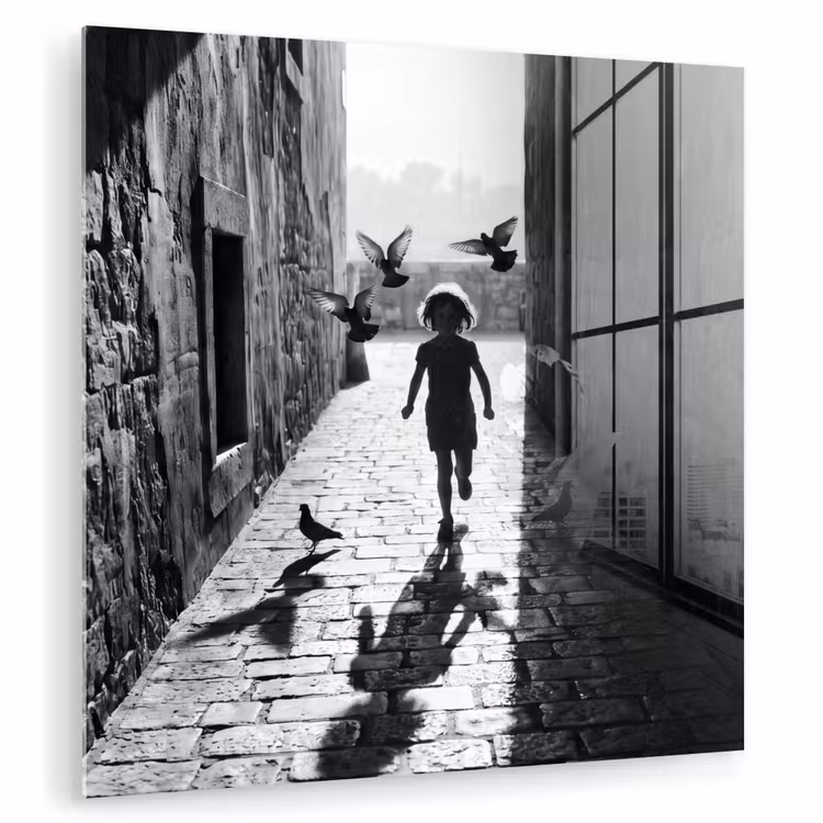 Kind - Vogel - Straat - Zwart-wit - Spelen plexiglas 5mm klein -zzzproduct_nieuw