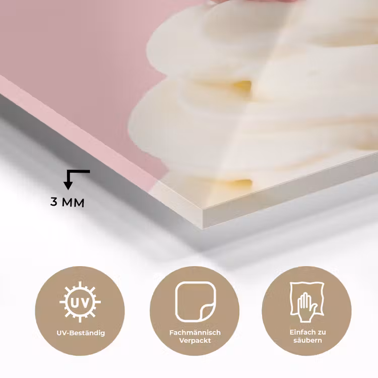 Kers - Slagroom - Roze plexiglas 5mm klein -wsfeer2_DE