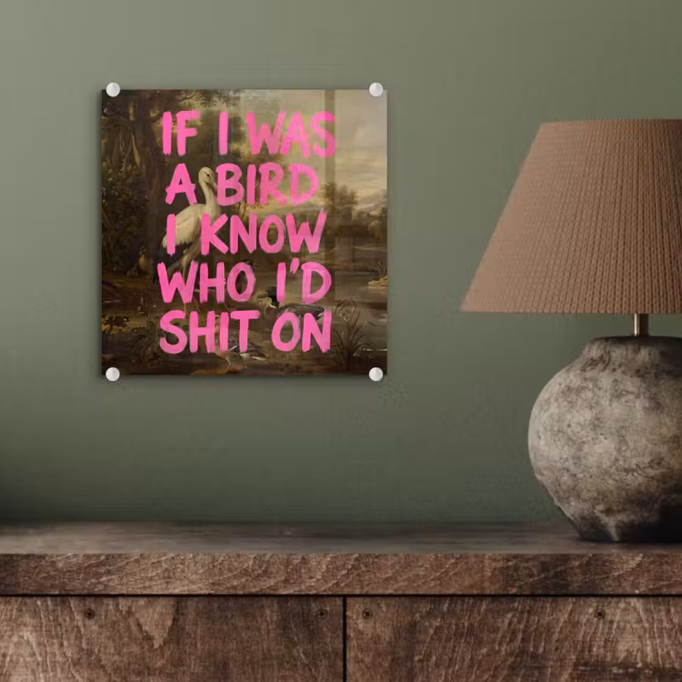 Klassiek - Humor - Roze plexiglas 5mm klein -sfeer3