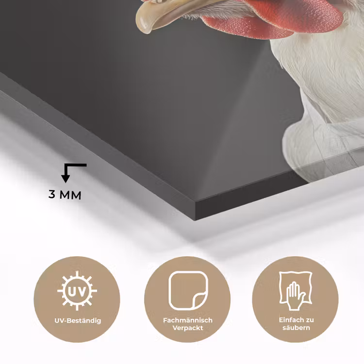 Kok - Rood - Kip plexiglas 5mm klein -wsfeer2_DE