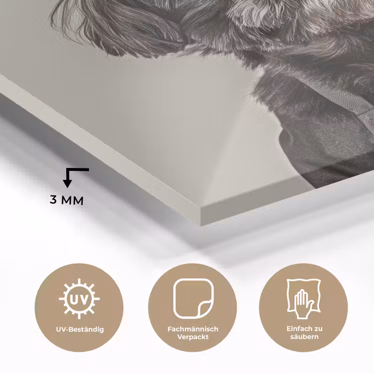 Kokskleding - Zwart - Hondje plexiglas 5mm klein -wsfeer2_DE