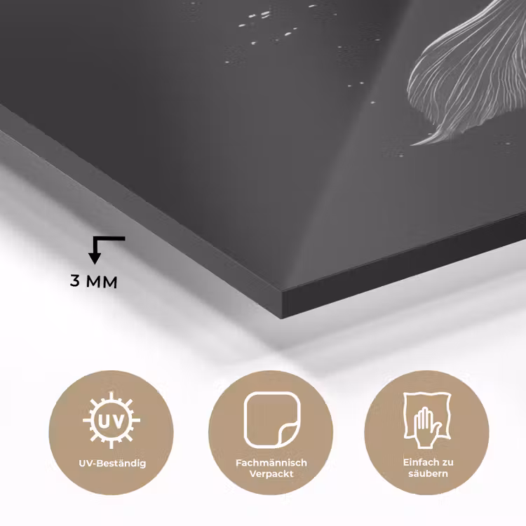 Koi - Vis - Wit - Zwart plexiglas 5mm klein -wsfeer2_DE