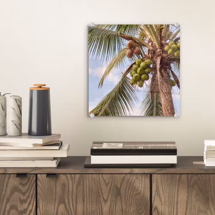 Glasbild - Kokosnuss – Baum – Tropisch – Natur – Grün - Kokosnoot - Boom - Tropisch - Natuur - Groen plexiglas 5mm klein