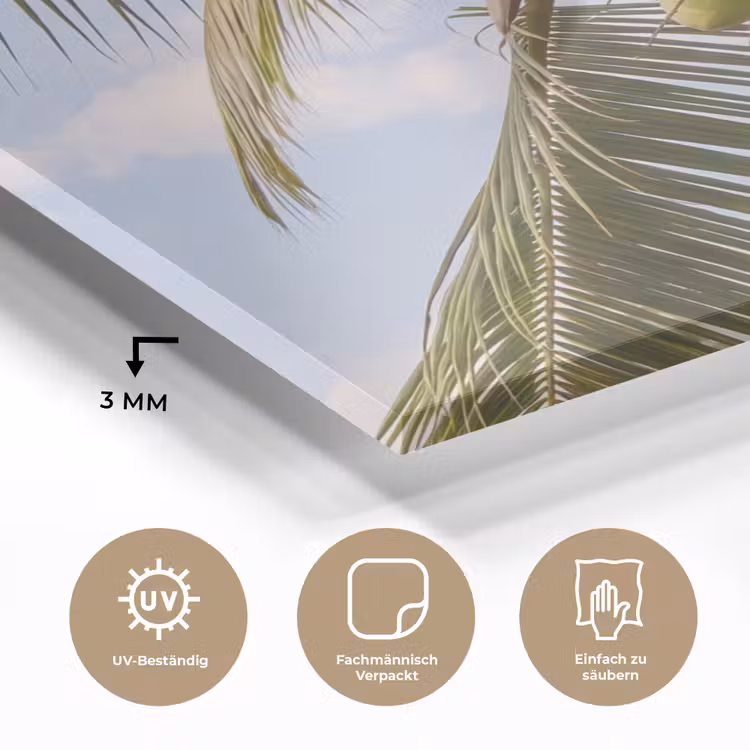Glasbild - Kokosnuss – Baum – Tropisch – Natur – Grün - Kokosnoot - Boom - Tropisch - Natuur - Groen plexiglas 5mm klein