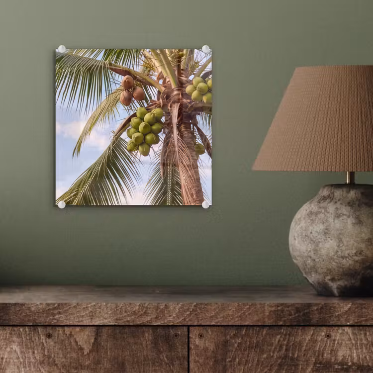 Glasbild - Kokosnuss – Baum – Tropisch – Natur – Grün - Kokosnoot - Boom - Tropisch - Natuur - Groen plexiglas 5mm klein