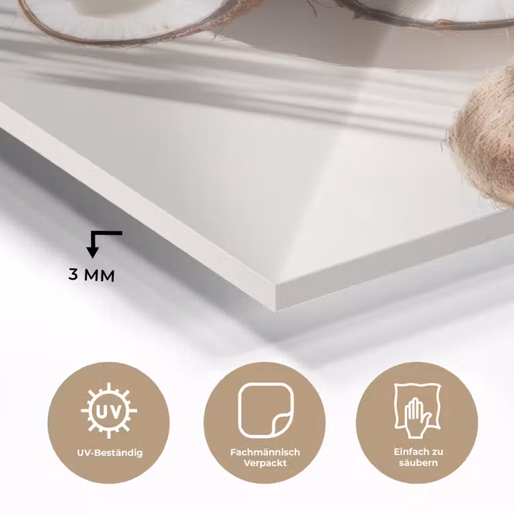 Kokosnoten - Bruin - Shaduw plexiglas 5mm klein -wsfeer2_DE