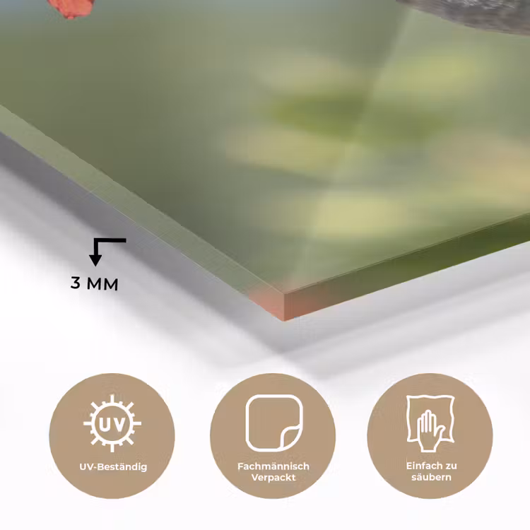 Kolibrie - Bloem - Natuur - Groen plexiglas 5mm klein -wsfeer2_DE