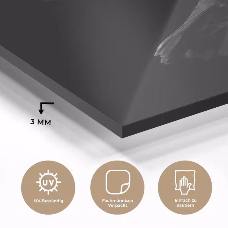 Kolibrie - Zwart - Dieren plexiglas 5mm klein -wsfeer2_DE