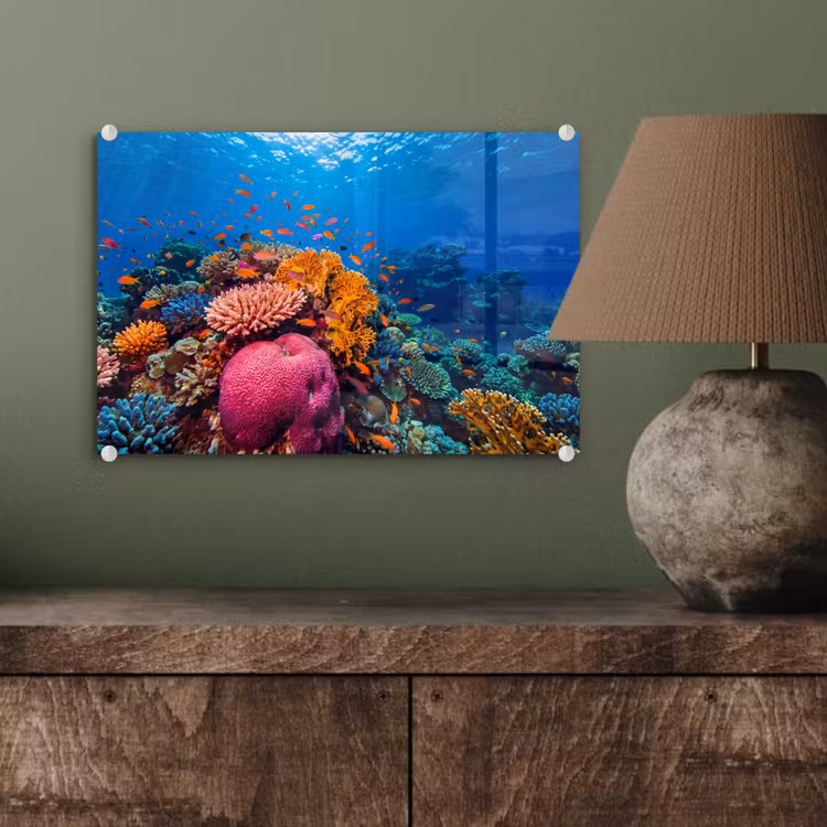 Koraal - Vissen - Oceaan - Natuur - Kleurrijk plexiglas 5mm klein -wsfeer2_DE