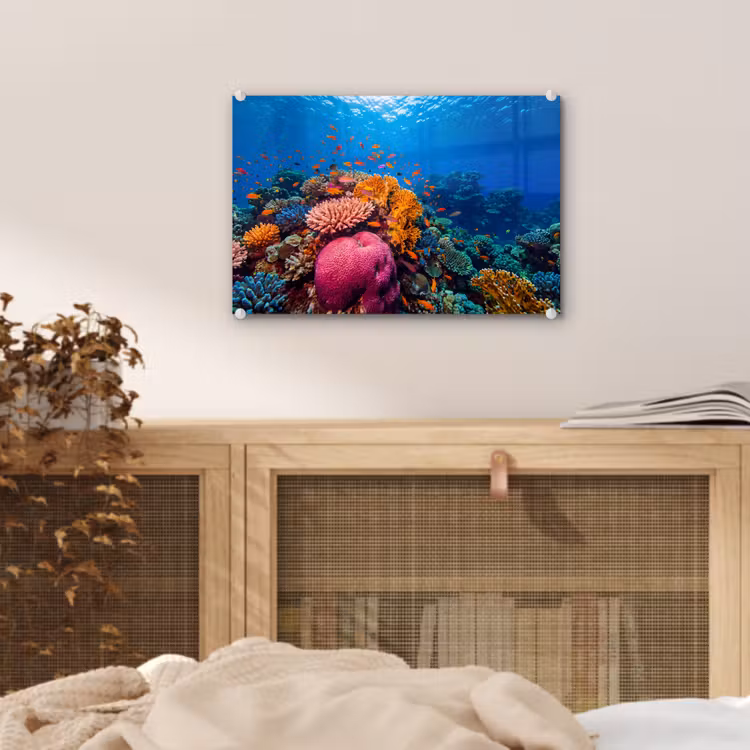 Koraal - Vissen - Oceaan - Natuur - Kleurrijk plexiglas 5mm klein -sfeer3