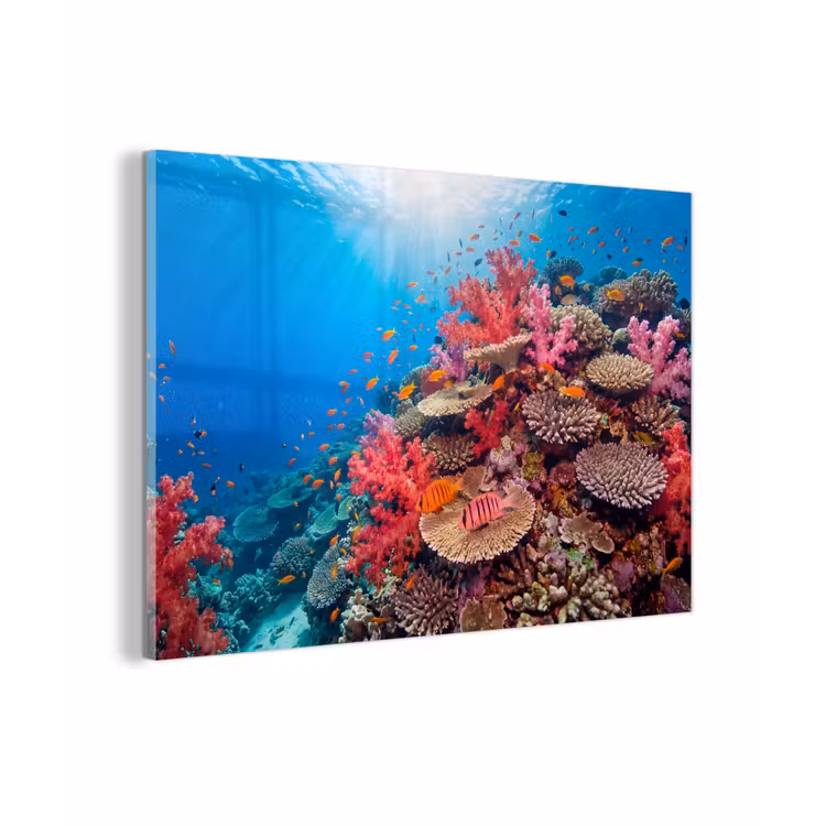 Koraalrif - Vissen - Onderwater - Tropisch - Rood plexiglas 5mm klein -zzzproduct_nieuw