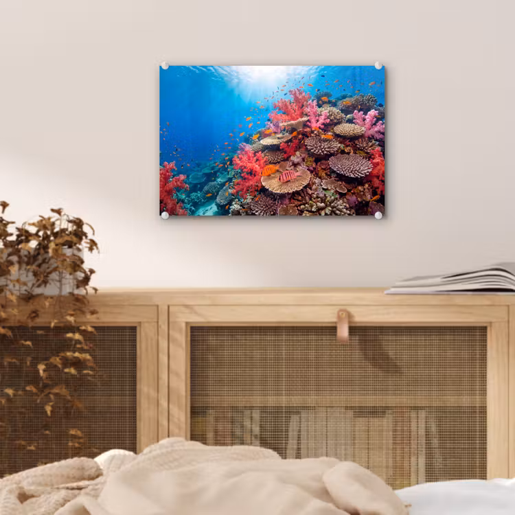 Koraalrif - Vissen - Onderwater - Tropisch - Rood plexiglas 5mm klein -sfeer3